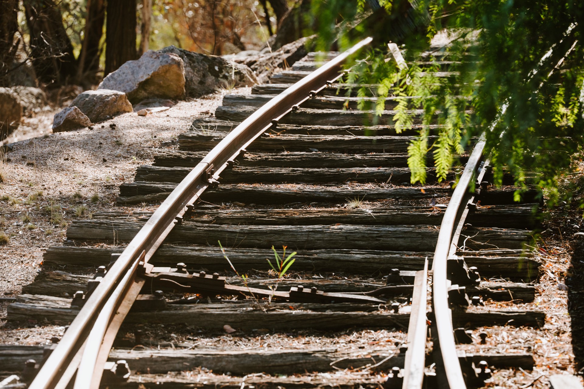 Heritage railway tracks winding through the bush